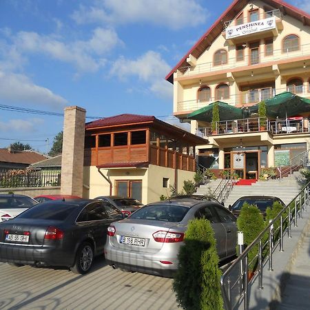 Pensiunea Cristal Tulcea Exterior photo