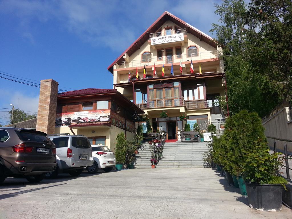 Pensiunea Cristal Tulcea Exterior photo